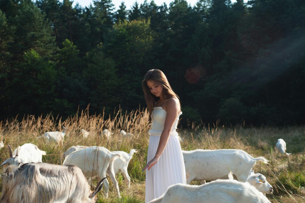 A serene scene of a woman in a white dress surrounded by goats in a sunny meadow.